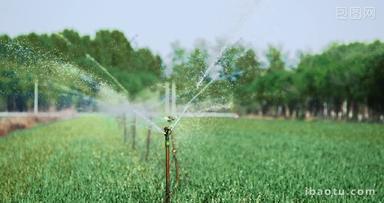 庄家灌溉三农蔬菜农业农作物浇水